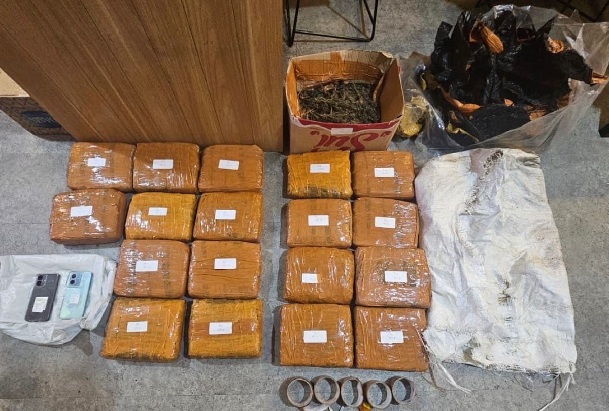 Polisi Tangkap Pengedar Narkoba di Kebon Jeruk, Sita 18 Kg Ganja Polisi Tangkap Pengedar Narkoba di Kebon Jeruk, Sita 18 Kg Ganja