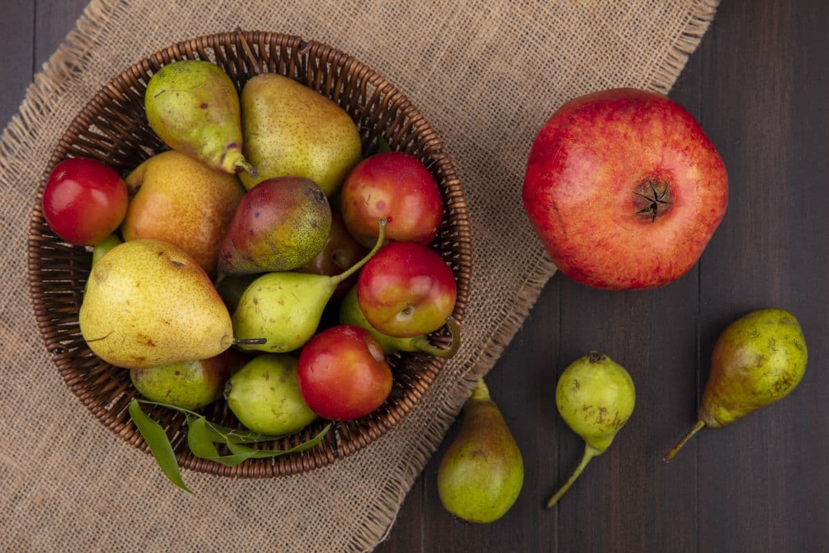 5 Camilan Sehat Murah Meriah yang Bikin Usus Lebih Sehat 5 Camilan Sehat Murah Meriah yang Bikin Usus Lebih Sehat