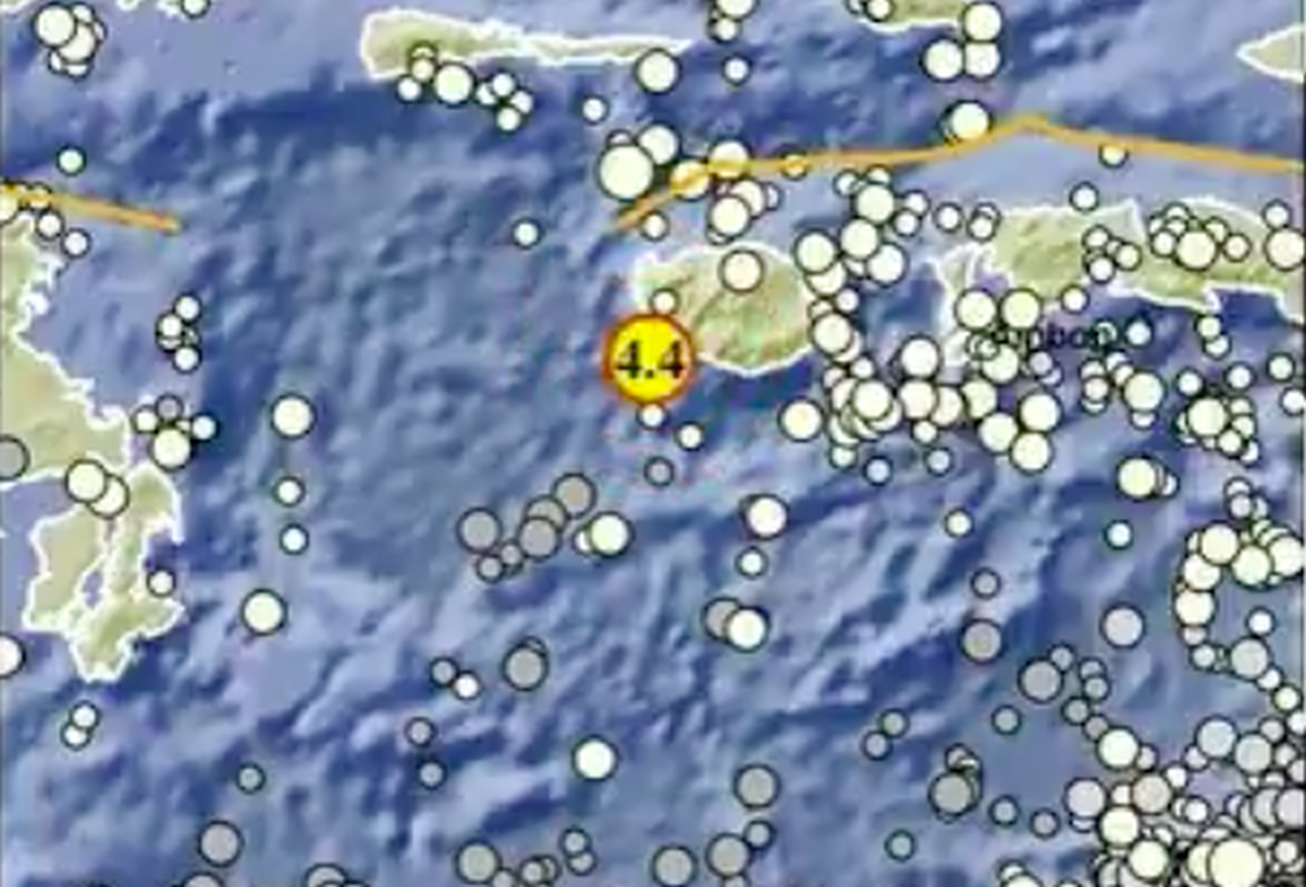 Gempa M4,4 Guncang Buru Maluku, Tidak Berpotensi Tsunami Gempa M4,4 Guncang Buru Maluku, Tidak Berpotensi Tsunami