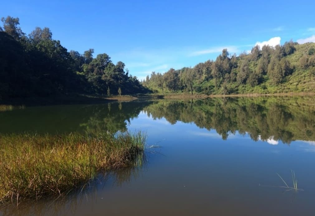Wisata Ranu Regulo Semeru Buka Saat Libur Lebaran, Wisatawan Dibatasi 500 Orang Wisata Ranu Regulo Semeru Buka Saat Libur Lebaran, Wisatawan Dibatasi 500 Orang