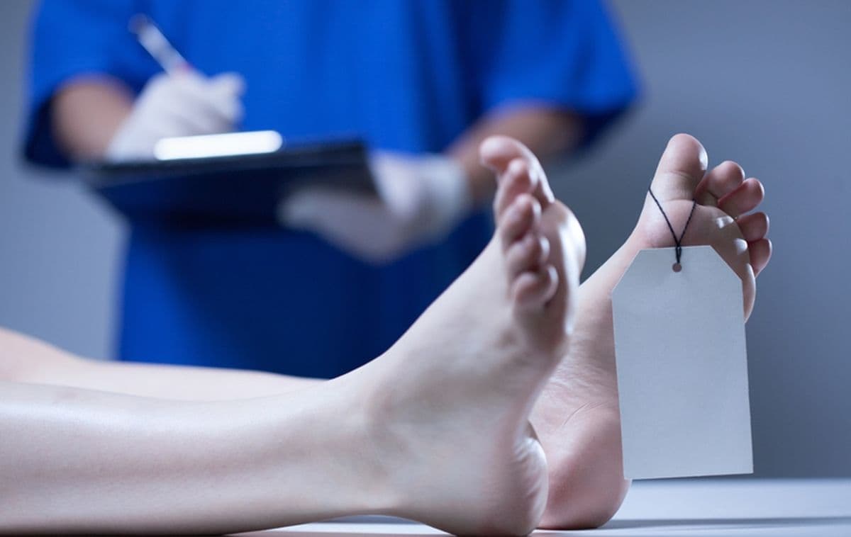 Heboh 4 Pekerja Tewas di Jagakarsa Jaksel, Begini Kronologinya! Heboh 4 Pekerja Tewas di Jagakarsa Jaksel, Begini Kronologinya!