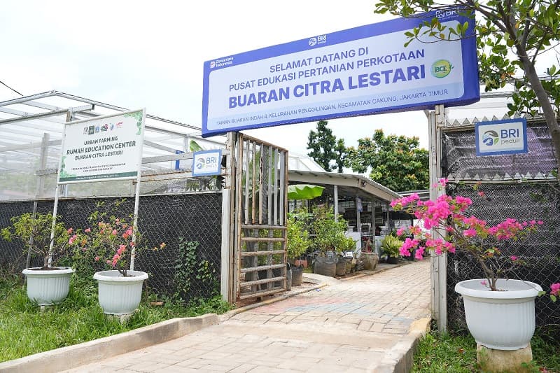 Lewat BRInita, KWT Buaran Citra Lestari Manfaatkan Lahan Sempit untuk Tanaman Produktif Lewat BRInita, KWT Buaran Citra Lestari Manfaatkan Lahan Sempit untuk Tanaman Produktif