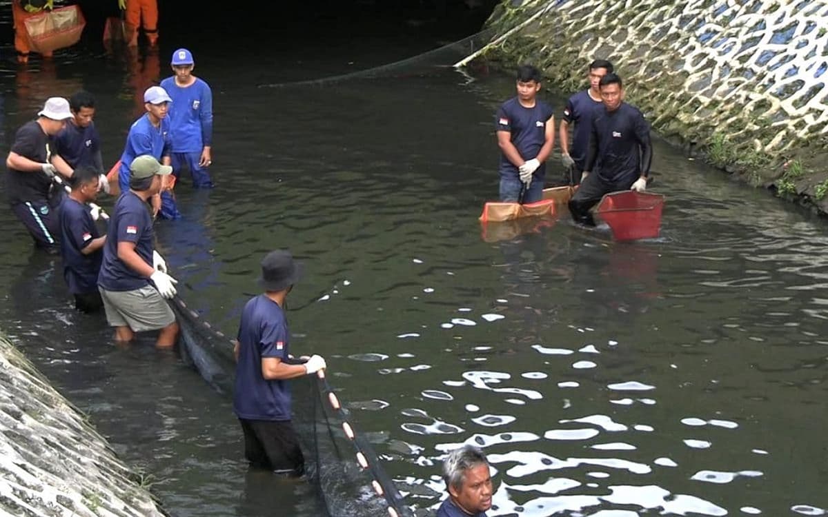 Pramono: Operasi Penangkapan Ikan Sapu-Sapu Digelar Serentak di 5 Wilayah Besok Pramono: Operasi Penangkapan Ikan Sapu-Sapu Digelar Serentak di 5 Wilayah Besok