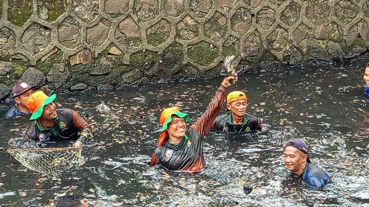 Pramono Bakal Bentuk Petugas PPSU Khusus Tangkap Ikan Sapu-sapu Pramono Bakal Bentuk Petugas PPSU Khusus Tangkap Ikan Sapu-sapu