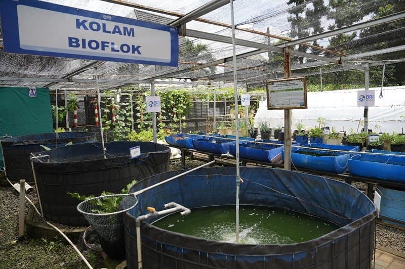 BRI Integrasikan Praktik Keuangan Berkelanjutan dalam Strategi Bisnis dan Operasional BRI Integrasikan Praktik Keuangan Berkelanjutan dalam Strategi Bisnis dan Operasional