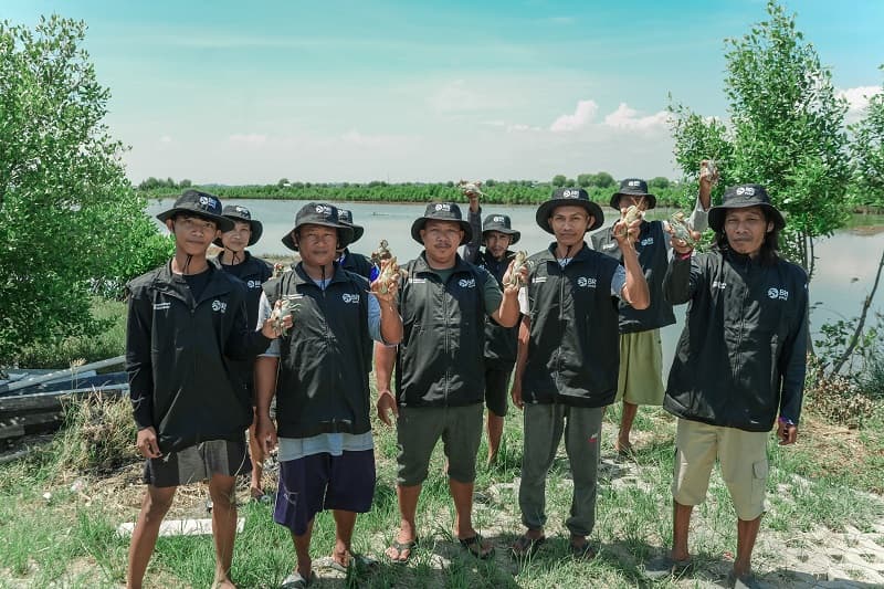 Jaga Ekosistem Pesisir, BRITanam Mangrove di Muara Gembong Bekasi Jaga Ekosistem Pesisir, BRITanam Mangrove di Muara Gembong Bekasi