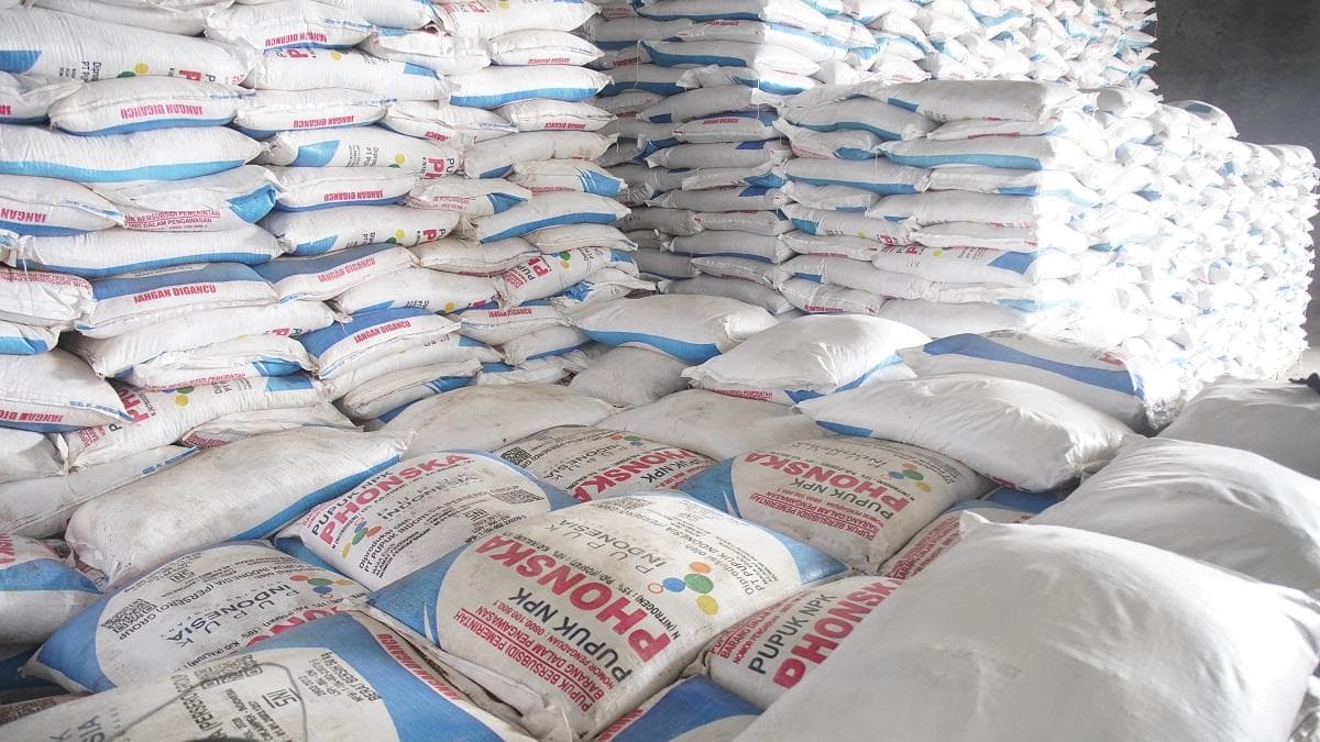 Selain Australia, Filipina dan India Minati Pupuk Urea Asal Indonesia Selain Australia, Filipina dan India Minati Pupuk Urea Asal Indonesia