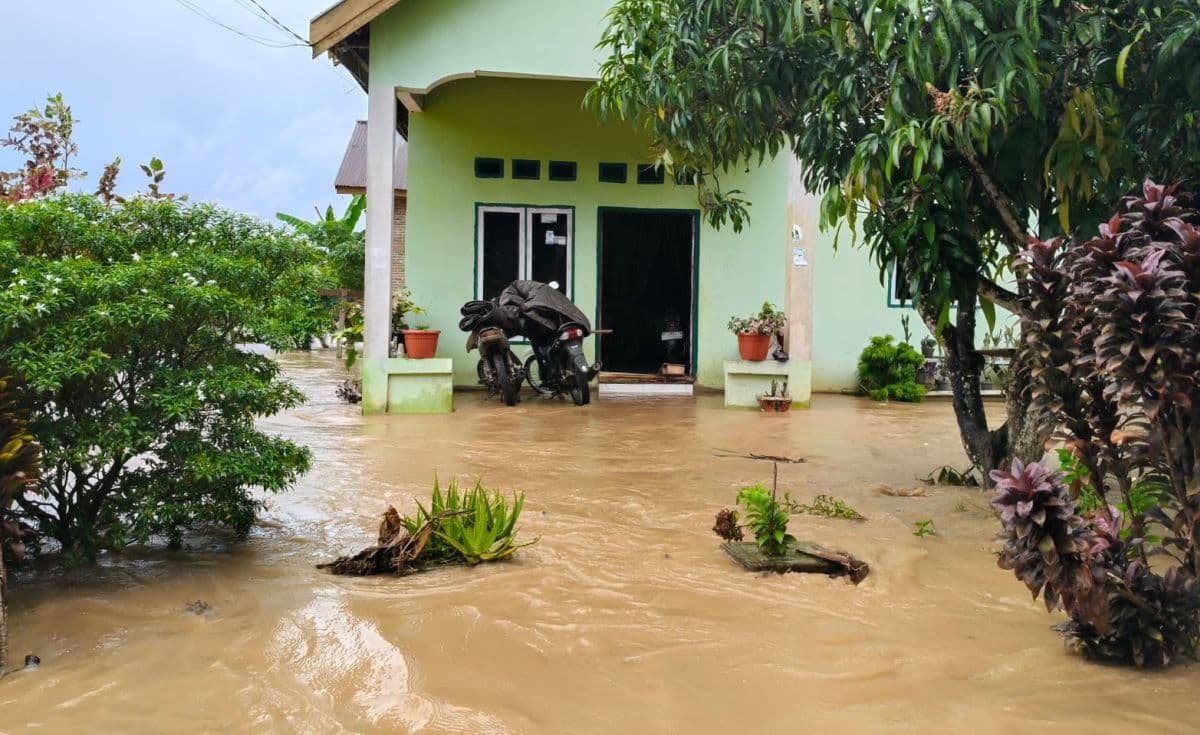Banjir Rendam Empat Desa di Luwu, 95 Rumah dan Sawah Siap Panen Terdampak Banjir Rendam Empat Desa di Luwu, 95 Rumah dan Sawah Siap Panen Terdampak