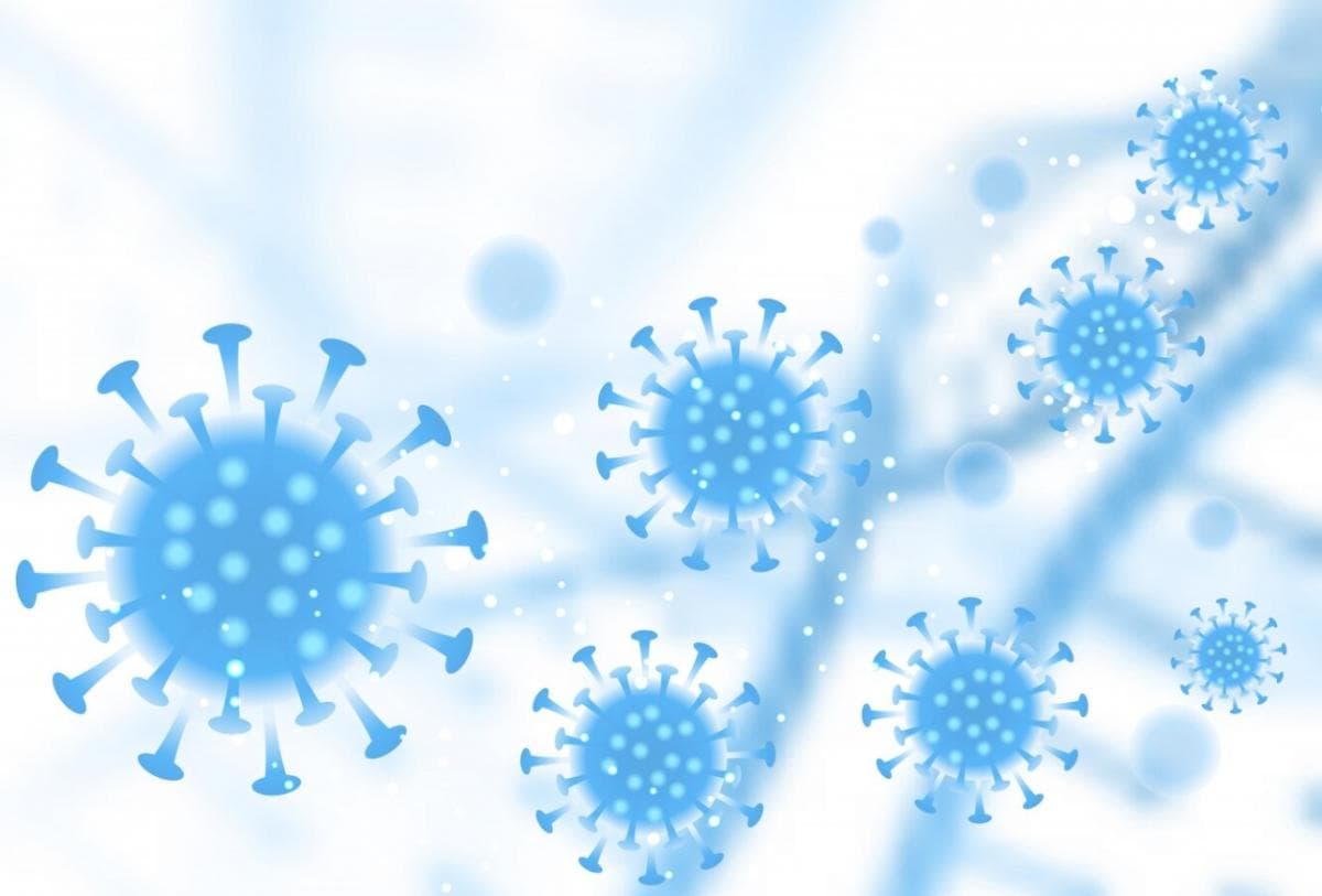 Beberapa Temuan Virus dan Penyakit Infeksi yang Umum di Indonesia Beberapa Temuan Virus dan Penyakit Infeksi yang Umum di Indonesia