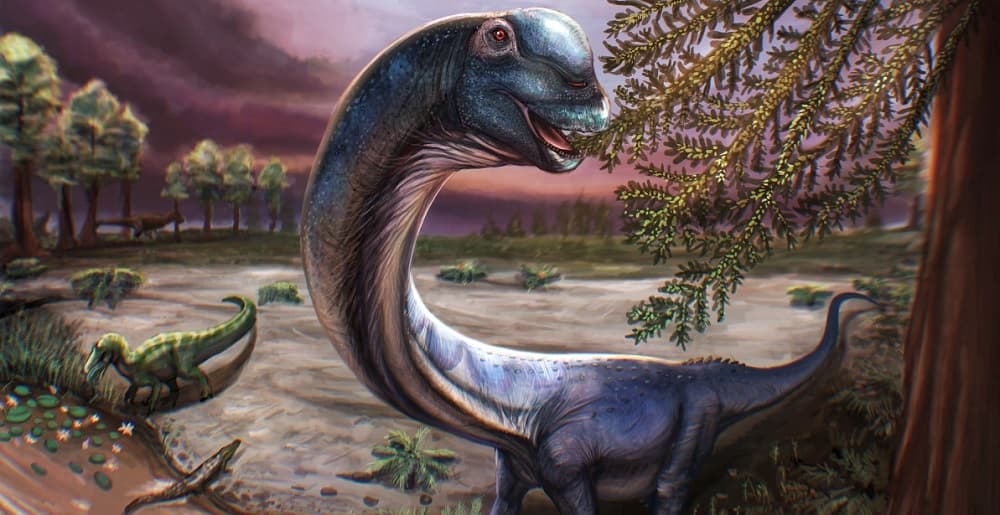 Kerangka Dinosaurus Terbesar di Asia Tenggara Ditemukan di Thailand Kerangka Dinosaurus Terbesar di Asia Tenggara Ditemukan di Thailand