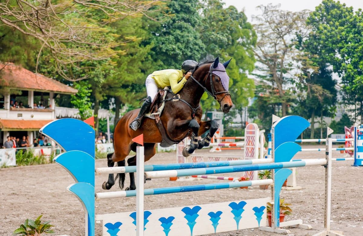 Cetak Sejarah! Atlet Berkuda Indonesia Nusrtdinov Zayan Fatih Akan Mentas di Youth Olympic Games Dakar 2026 Cetak Sejarah! Atlet Berkuda Indonesia Nusrtdinov Zayan Fatih Akan Mentas di Youth Olympic Games Dakar 2026
