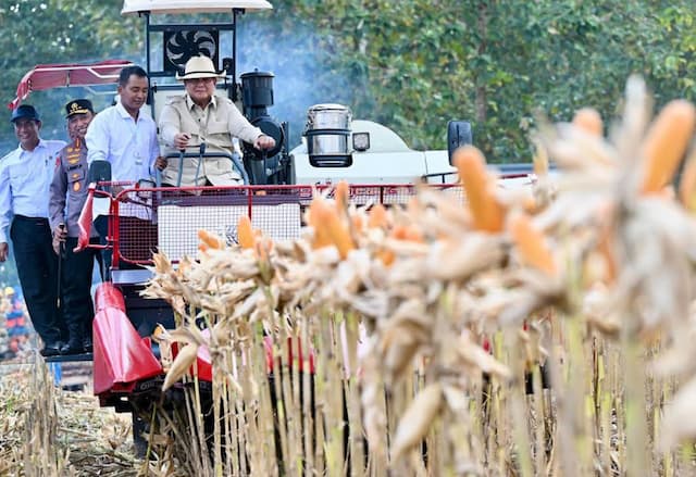 Gaya Prabowo Kendarai Traktor Combine Corn Harvester saat Panen Jagung Gaya Prabowo Kendarai Traktor Combine Corn Harvester saat Panen Jagung
