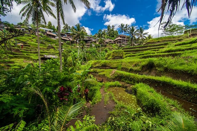 5 Lokasi Syuting Film di Bali, Bisa Jadi Ide Traveling 5 Lokasi Syuting Film di Bali, Bisa Jadi Ide Traveling