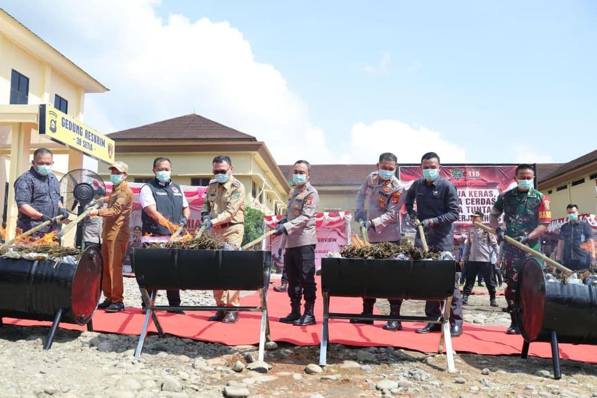 Musnahkan 200 Kg Ganja, Kapolda Sumsel: Peredaran Narkoba Merusak Generasi Bangsa Musnahkan 200 Kg Ganja, Kapolda Sumsel: Peredaran Narkoba Merusak Generasi Bangsa