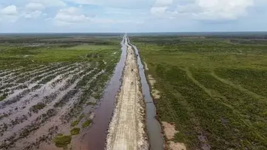 Program Cetak Sawah di Wanam Langkah Pemerintah Wujudkan Kedaulatan Pangan Program Cetak Sawah di Wanam Langkah Pemerintah Wujudkan Kedaulatan Pangan