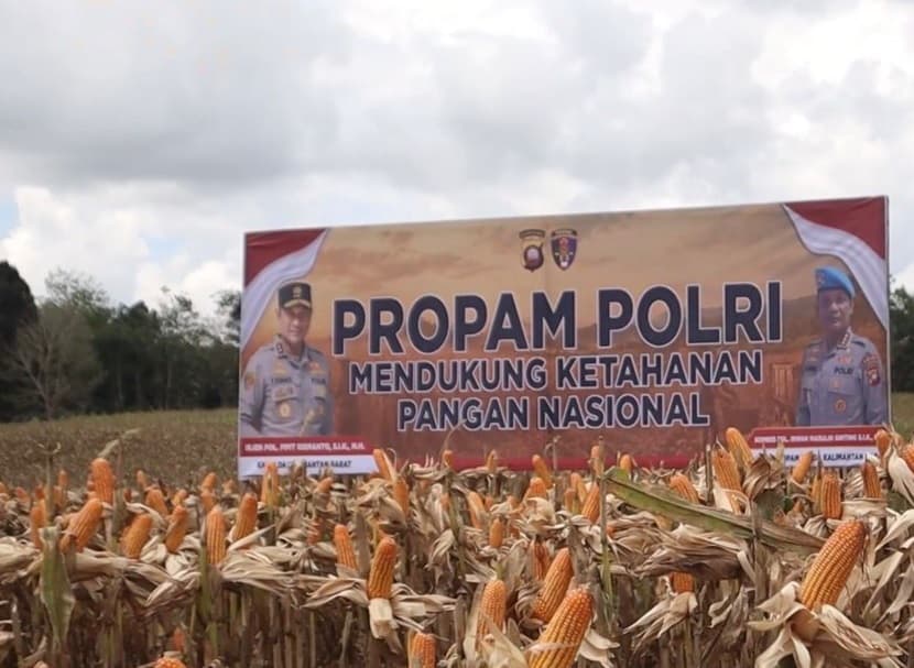Dukung Ketahanan Pangan Nasional, Propam Polri Sulap Lahan Tidur Jadi Produktif Dukung Ketahanan Pangan Nasional, Propam Polri Sulap Lahan Tidur Jadi Produktif