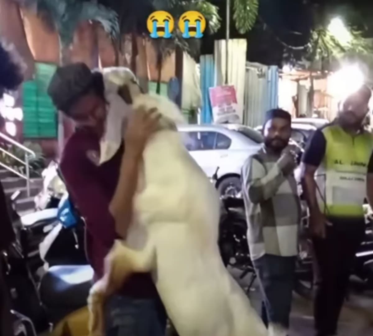 Viral! Kambing Menangis dan Terus Peluk Pemiliknya saat Dijual untuk Kurban Idul Adha Viral! Kambing Menangis dan Terus Peluk Pemiliknya saat Dijual untuk Kurban Idul Adha