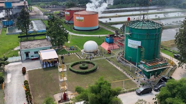 RI Kembangkan Gas Limbah Sawit Pengganti LPG RI Kembangkan Gas Limbah Sawit Pengganti LPG