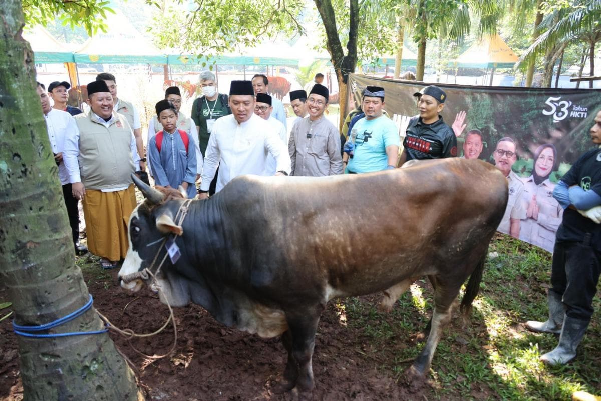 Indonesia Surplus 800 Ribu Ekor Hewan Kurban, Stok Aman Indonesia Surplus 800 Ribu Ekor Hewan Kurban, Stok Aman