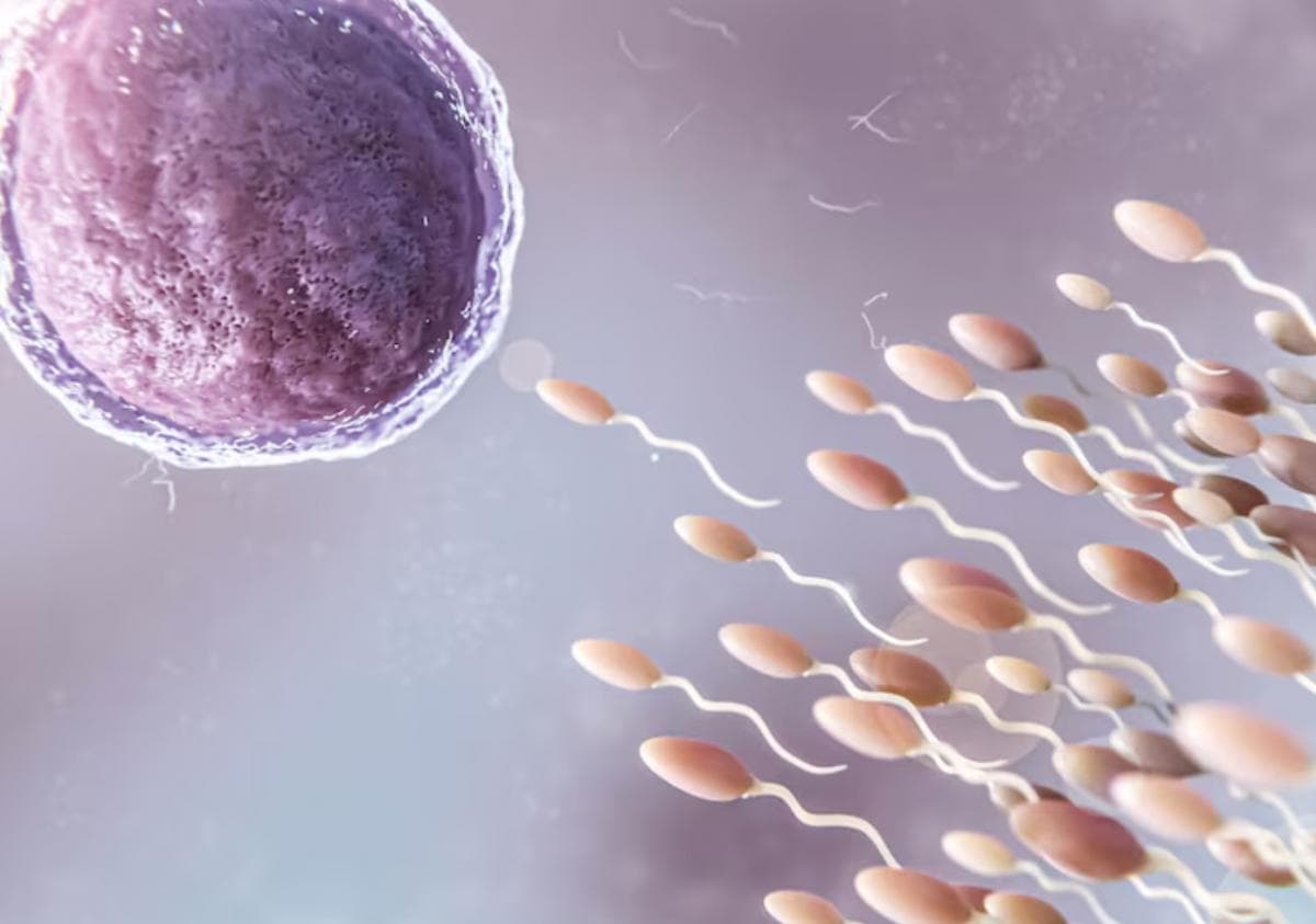 Mitos atau Fakta: Sperma yang Kental Lebih Subur Mitos atau Fakta: Sperma yang Kental Lebih Subur