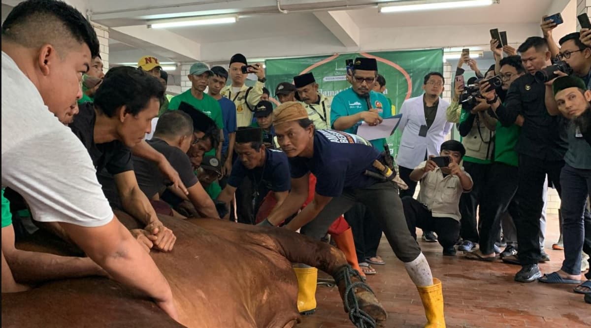 Berapa Bayaran Tukang Jagal Hewan Kurban? Berapa Bayaran Tukang Jagal Hewan Kurban?