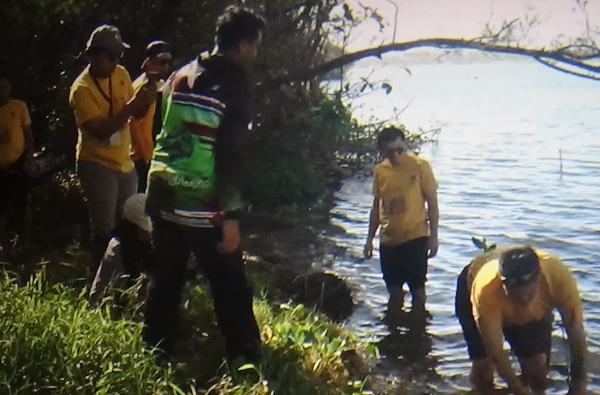Kolaborasi MNC Peduli Tanam Mangrove di Pantai Baros untuk Kelestarian Ekosistem Pesisir Tuai Apresiasi Kolaborasi MNC Peduli Tanam Mangrove di Pantai Baros untuk Kelestarian Ekosistem Pesisir Tuai Apresiasi