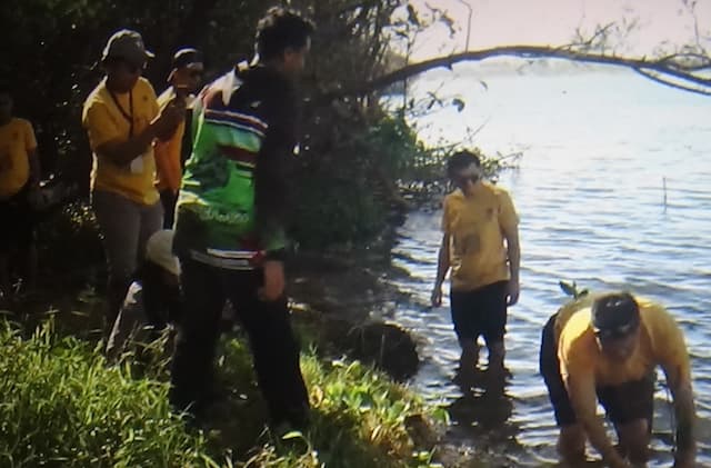 Kolaborasi MNC Peduli Tanam Mangrove di Pantai Baros untuk Kelestarian Ekosistem Pesisir Tuai Apresiasi Kolaborasi MNC Peduli Tanam Mangrove di Pantai Baros untuk Kelestarian Ekosistem Pesisir Tuai Apresiasi