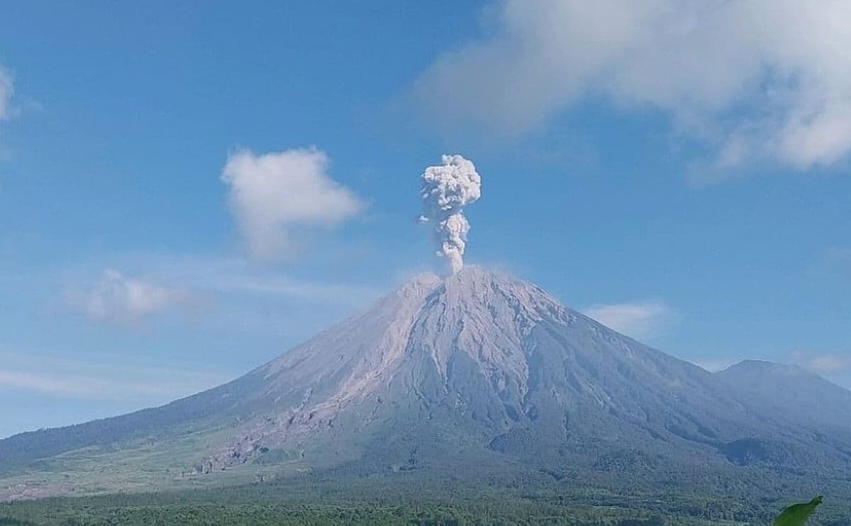 Gunung Semeru Erupsi Pagi Ini, Lontarkan Abu Vulkanik 1.300 Meter Gunung Semeru Erupsi Pagi Ini, Lontarkan Abu Vulkanik 1.300 Meter