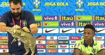 Ofisial Timnas Brasil Nekat Lempar Seekor Kucing dari Atas Meja saat Sesi Konferensi Pers, Bikin Vinicius Jr Terkejut!