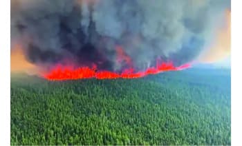Usai Selimuti Wilayah AS, Kabut Asap Kebakaran Hutan Kanada Capai Eropa