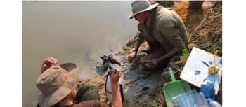 Penemuan Kayu Kuno Usia Setengah Juta Tahun di Tepian Sungai Zambia, Ubah Pemahaman Soal Kehidupan Manusia Purba