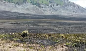 Kerugian Kebakaran Gunung Bromo Capai Rp 5,4 Miliar di Luar Biaya Pemadaman Lewat Udara
