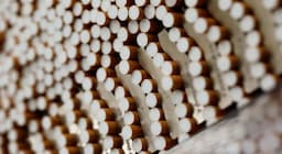 Petani Tembakau Setuju Rokok Dilarang tapi Industri Jangan Dimatikan