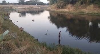 Ribuan Ikan Mabuk karena Sungai Bengawan Solo Tercemar, Warga Panen