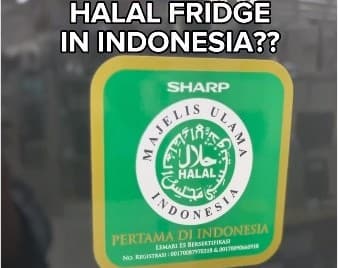 Viral Artis Asing Takjub Kulkas di Indonesia Ada Label Halal