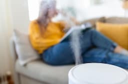 3 Cara Jaga Kualitas Udara dalam Ruangan saat Polusi, Bikin Tubuh Tetap Sehat dan Aman