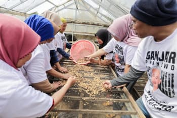 Genjot Produktivitas Masyarakat, Relawan Ganjar Gelar Pelatihan untuk Petani Kopi di Bandung Barat
