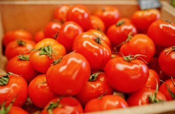 Nutrisi yang Terkandung pada Tomat dan Manfaat jika Mengonsumsinya Tiap Hari