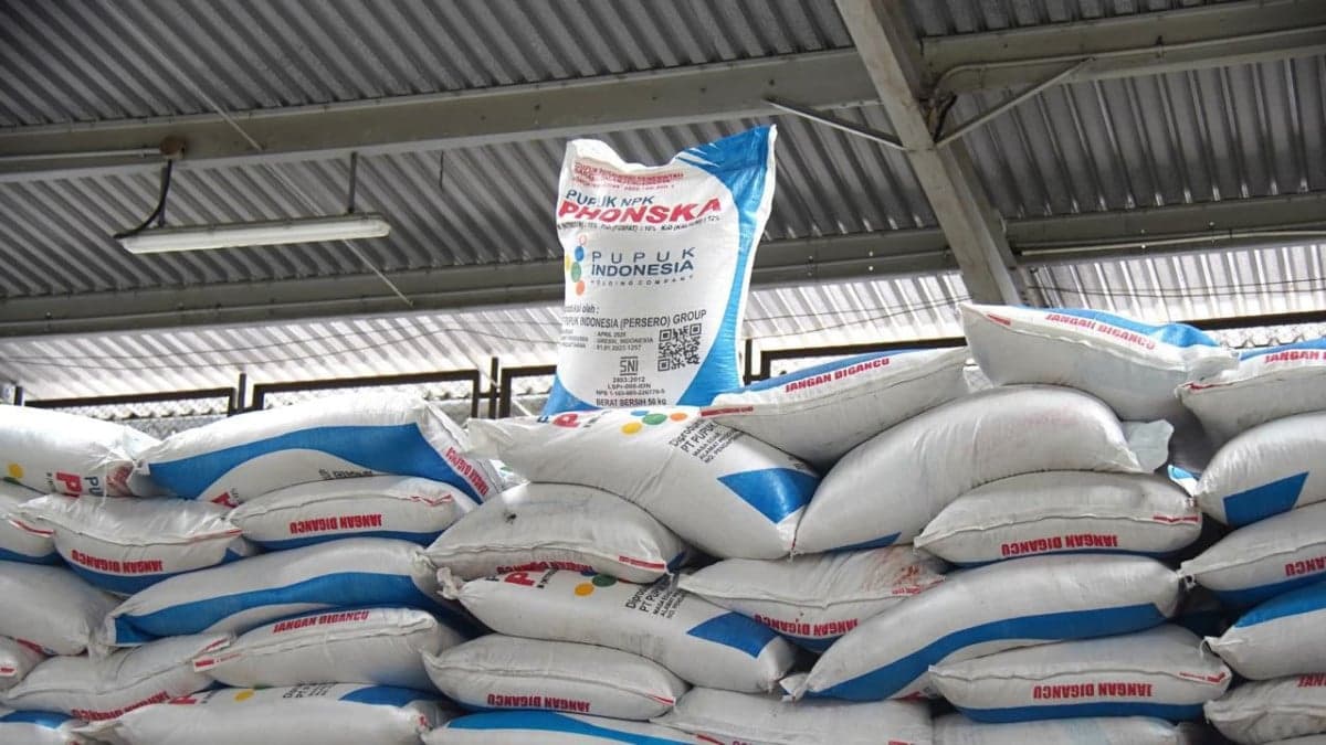 Prabowo Turunkan Harga Pupuk Subsidi 20 untuk Petani Prabowo Turunkan Harga Pupuk Subsidi 20 untuk Petani