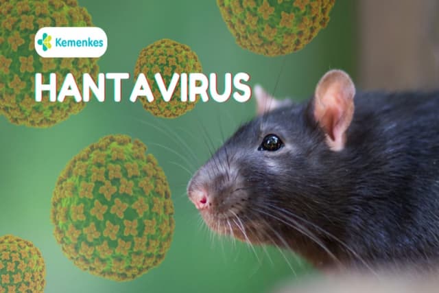 Hantavirus Mengancam, Ini 5 Cara Efektif Menjaga Imunitas Tubuh Hantavirus Mengancam, Ini 5 Cara Efektif Menjaga Imunitas Tubuh