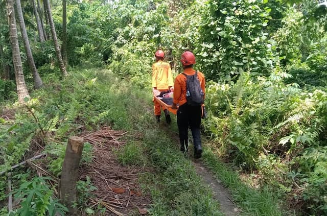 20 Pendaki Tersesat dan Terluka saat Gunung Dukono Erupsi, Tim SAR Gabungan Evakuasi 20 Pendaki Tersesat dan Terluka saat Gunung Dukono Erupsi, Tim SAR Gabungan Evakuasi