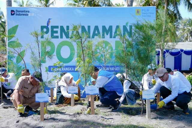 PLN EPI Tanam 2.500 Cemara Udang untuk Lindungi Pesisir Lombok PLN EPI Tanam 2.500 Cemara Udang untuk Lindungi Pesisir Lombok
