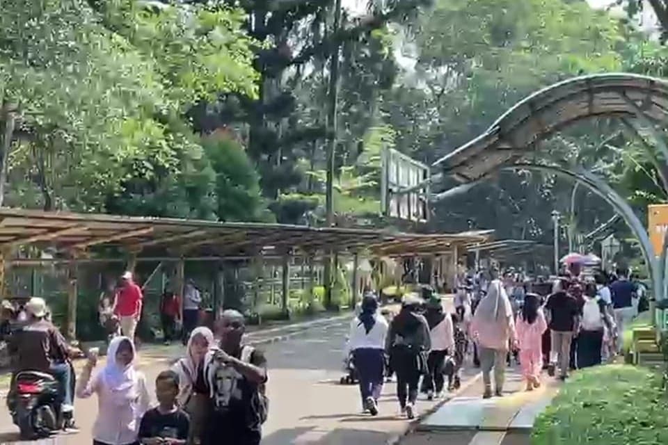 Hari Pertama Long Weekend, Pengunjung Ragunan Diprediksi Tembus 50 Ribu Orang Hari Pertama Long Weekend, Pengunjung Ragunan Diprediksi Tembus 50 Ribu Orang
