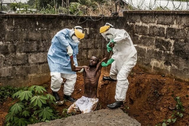 Lebih Mengerikan Dibandingkan Hantavirus, WHO: Wabah Ebola sebagai Darurat Kesehatan Global Lebih Mengerikan Dibandingkan Hantavirus, WHO: Wabah Ebola sebagai Darurat Kesehatan Global