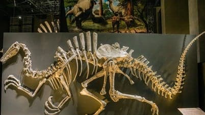 Dinosaurus yang Pernah Kuasai Asia Tenggara Ditemukan, Begini Wujudnya Dinosaurus yang Pernah Kuasai Asia Tenggara Ditemukan, Begini Wujudnya