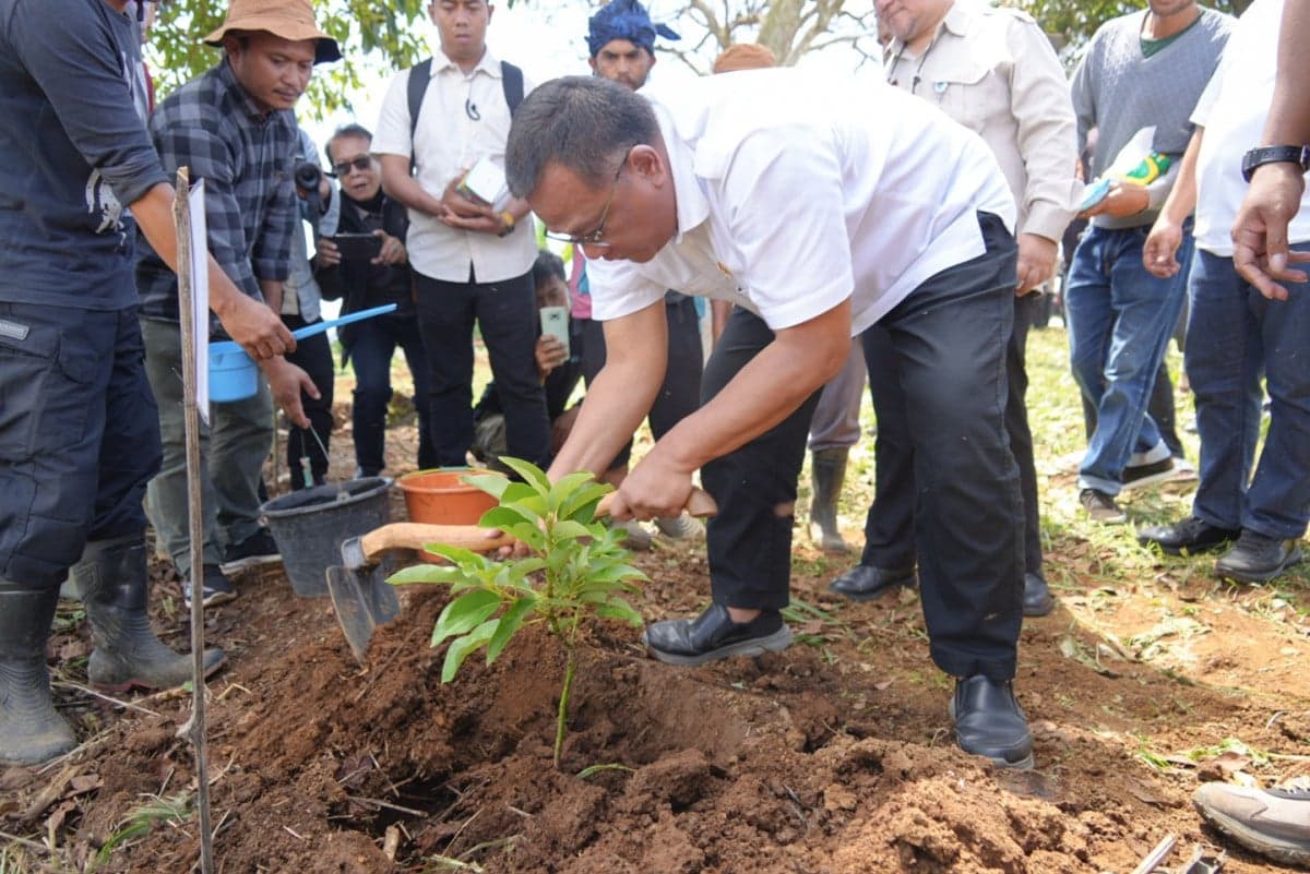 Penanaman 1.000 Pohon di Cipanas, Jumhur: Kesejahteraan dan Perlindungan Lingkungan Harus Seimbang Penanaman 1.000 Pohon di Cipanas, Jumhur: Kesejahteraan dan Perlindungan Lingkungan Harus Seimbang