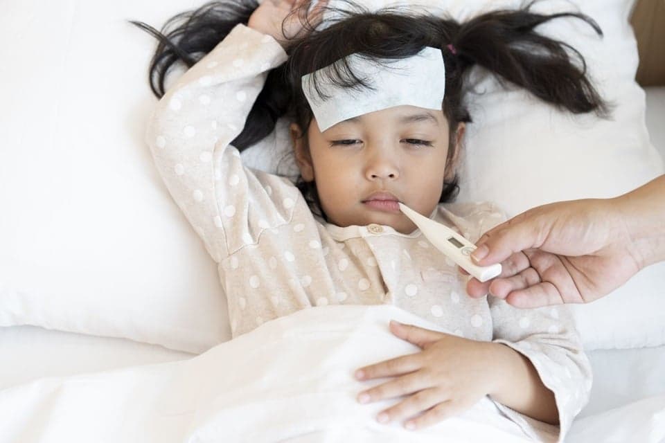 Jangan Paksa Anak Makan Saat Demam, Ini Penjelasan Dokter! Jangan Paksa Anak Makan Saat Demam, Ini Penjelasan Dokter!