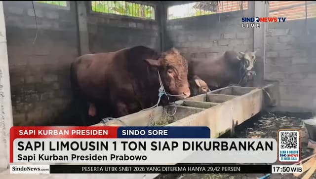 Gerindra Sebut Bantuan 1.098 Sapi Kurban Presiden Prabowo dari APBN Sah, Pernah Dilakukan pada Era Jokowi Gerindra Sebut Bantuan 1.098 Sapi Kurban Presiden Prabowo dari APBN Sah, Pernah Dilakukan pada Era Jokowi