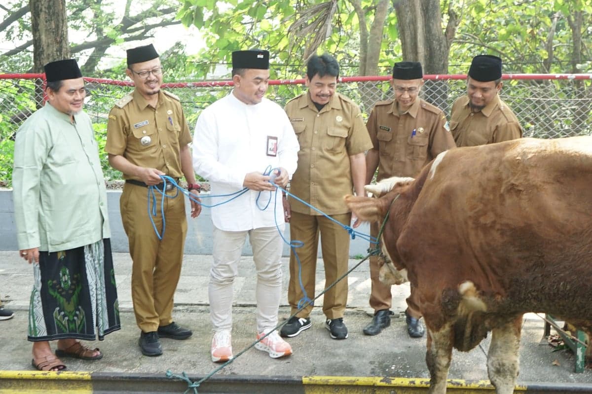 SIG Salurkan 292 Hewan Kurban bagi Masyarakat di Sekitar Area Operasi SIG Salurkan 292 Hewan Kurban bagi Masyarakat di Sekitar Area Operasi