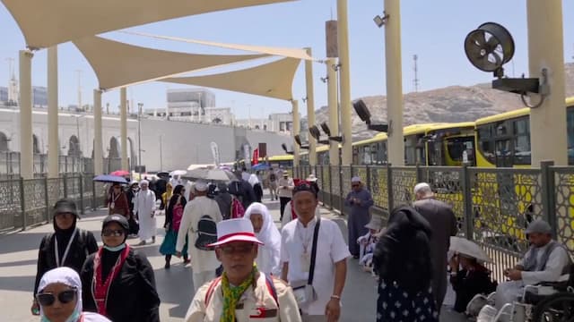 Sempat Mundur 12 Jam Demi Istirahat Jemaah, Ratusan Bus Shalawat di Makkah Mengaspal Lagi Sempat Mundur 12 Jam Demi Istirahat Jemaah, Ratusan Bus Shalawat di Makkah Mengaspal Lagi